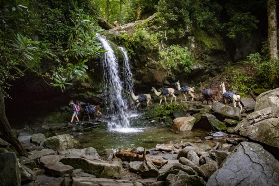 Grotto Falls is near Gatlinburg, Tenn. -- one of Forbes 10 Spring Break destination recommendations.