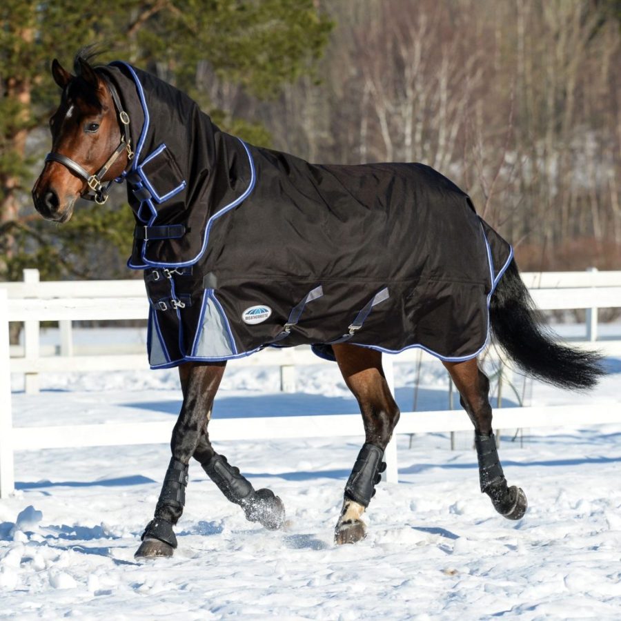 Blankets+for+horses%3F+It+depends