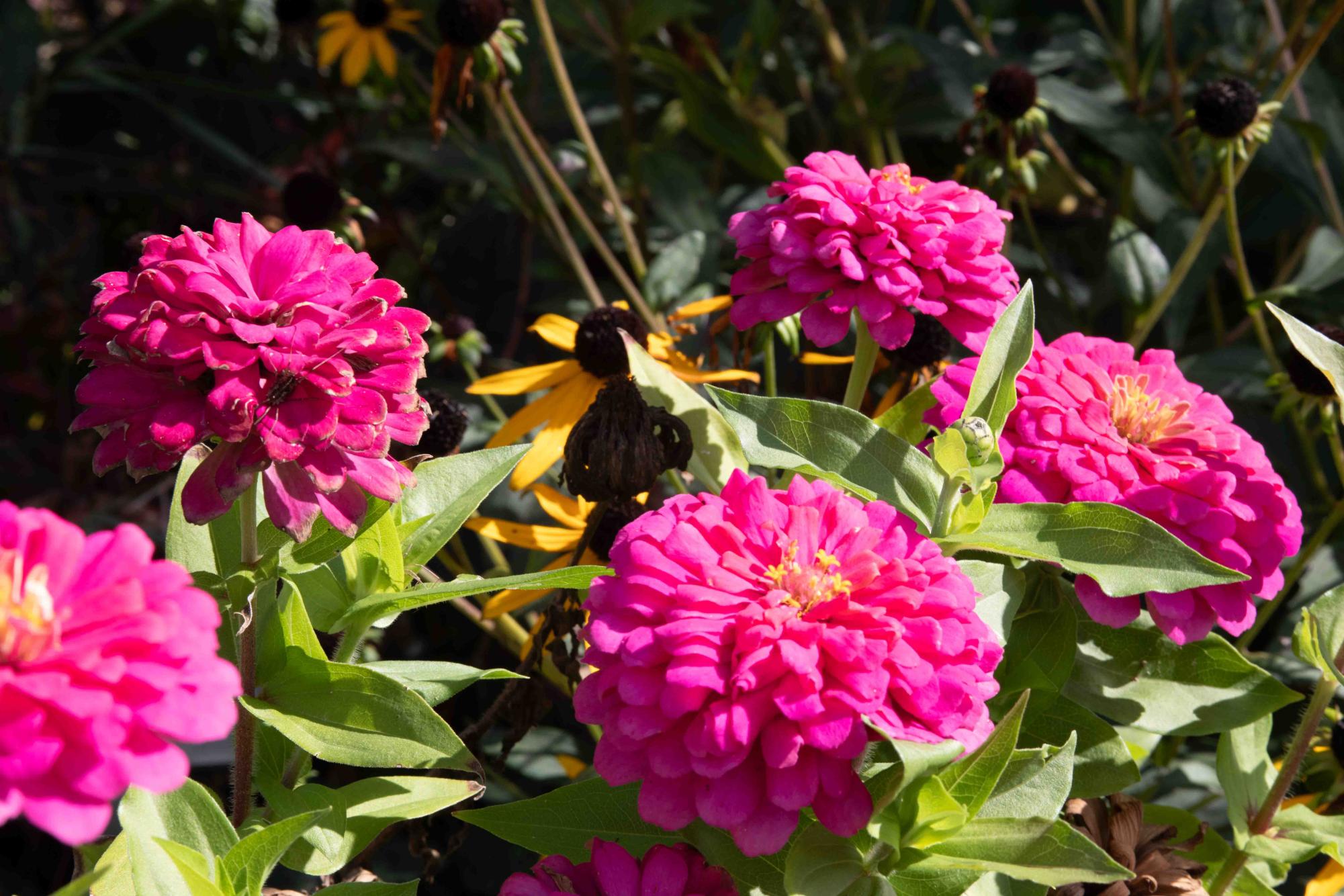 Fall's feast for the eyes